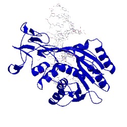 Image of CATH 8mht