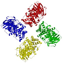 Image of CATH 8ruc