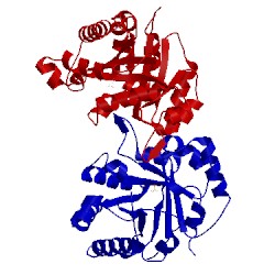 Image of CATH 8tim