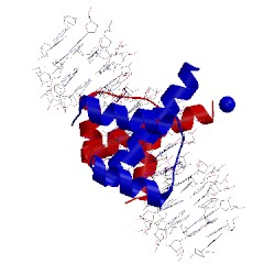 Image of CATH 9ant
