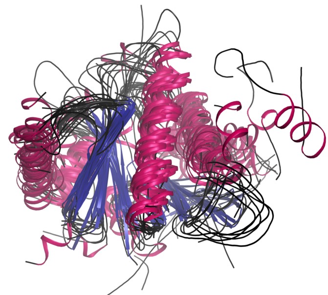 The Superfamily Superpositions tab on the CATH-Gene3D superfamily web pages demonstrate the concept of an ancient structural core that can seen by carefully superposing protein domains that are distantly related by evolution