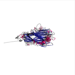 3D model of 2.60.40.740 from CATH