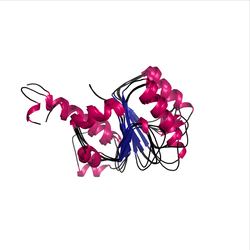 3D model of 3.40.50.2060 from CATH