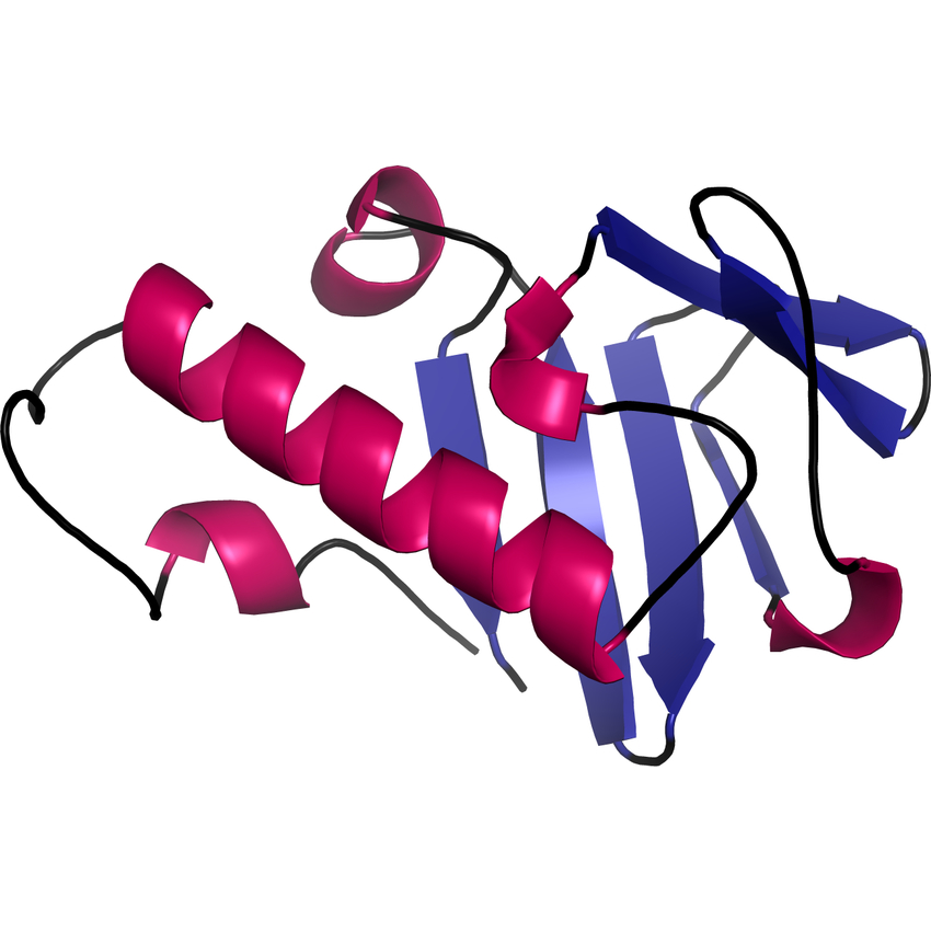 CATH Superfamily 2.170.170.11