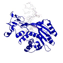 Image of CATH 10mh