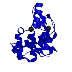 Image of CATH 111l