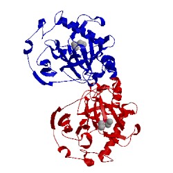 Image of CATH 117e