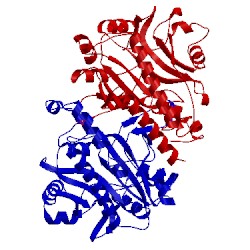Image of CATH 11as
