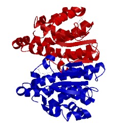 Image of CATH 12gs