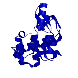 Image of CATH 145l