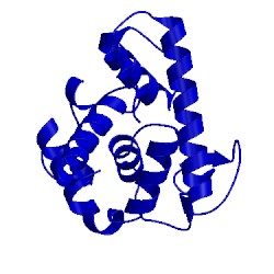 Image of CATH 153l