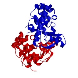 Image of CATH 175l