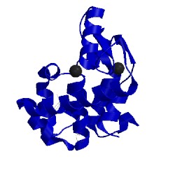 Image of CATH 184l