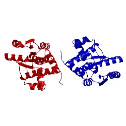 Image of CATH 1a04