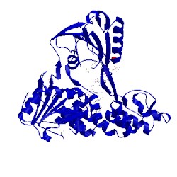 Image of CATH 1a1v