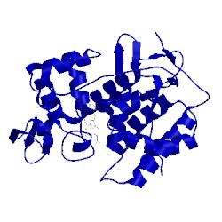 Image of CATH 1a2g