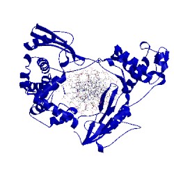 Image of CATH 1a31