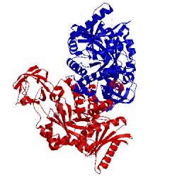 Image of CATH 1a3w