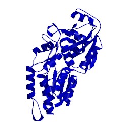 Image of CATH 1a40