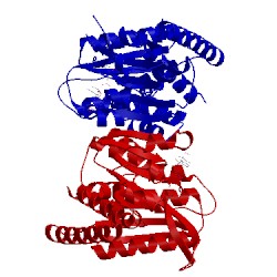 Image of CATH 1a4i