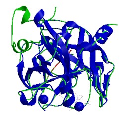 Image of CATH 1a4w