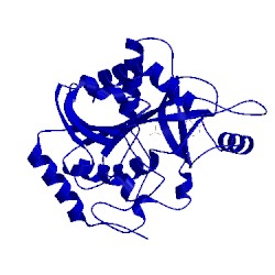 Image of CATH 1a9r