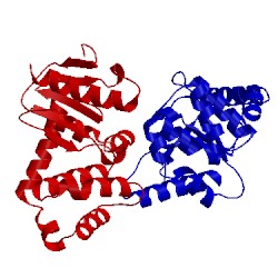 Image of CATH 1acv