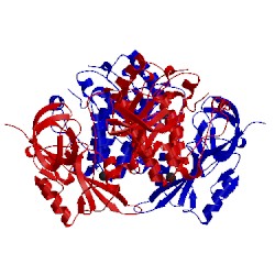 Image of CATH 1ad5