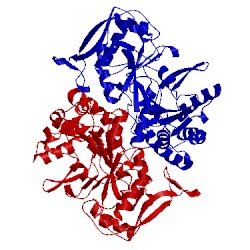 Image of CATH 1adi