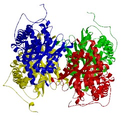 Image of CATH 1ado