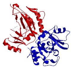 Image of CATH 1aer