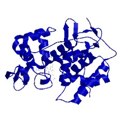 Image of CATH 1aet