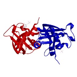 Image of CATH 1afk
