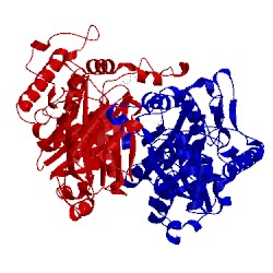 Image of CATH 1afw