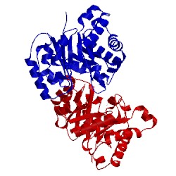 Image of CATH 1ag1