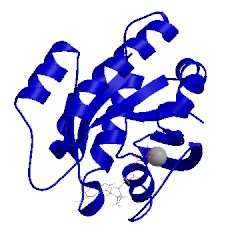 Image of CATH 1agp