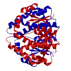 Image of CATH 1ags