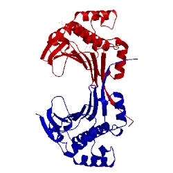 Image of CATH 1ah8