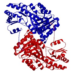 Image of CATH 1ahe