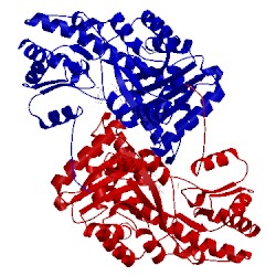 Image of CATH 1ahf