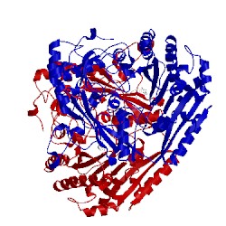 Image of CATH 1ahu