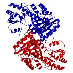 Image of CATH 1ahx