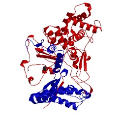 Image of CATH 1ai6