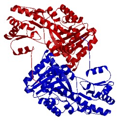 Image of CATH 1aia