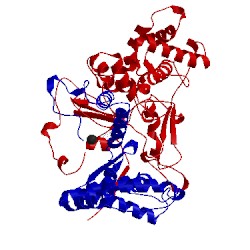 Image of CATH 1ajn