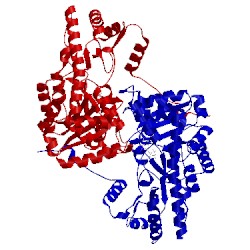 Image of CATH 1ajr