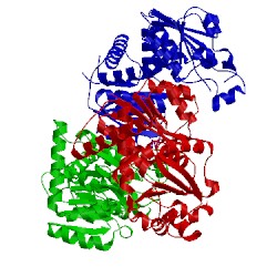 Image of CATH 1akm