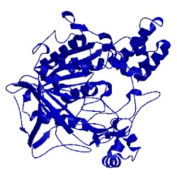 Image of CATH 1akn