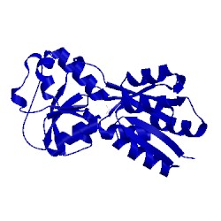 Image of CATH 1amf