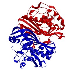 Image of CATH 1an5